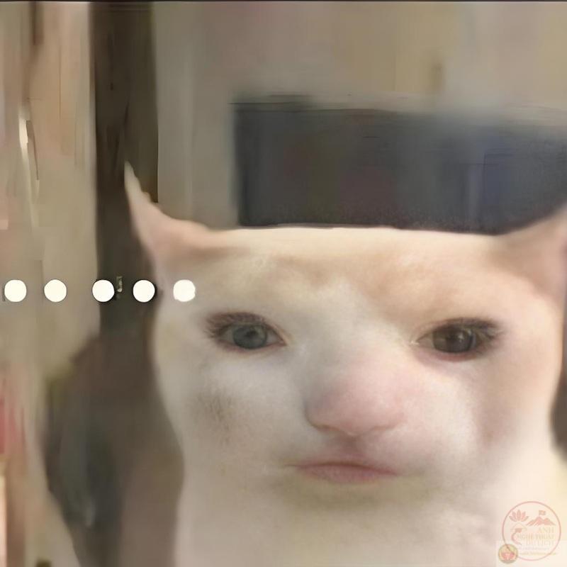 meme cạn lời 15