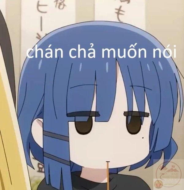 chán chả muốn nói meme