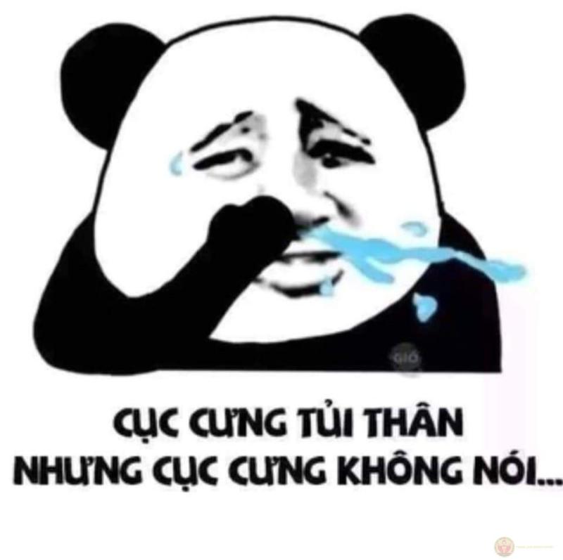 Tui lặng thinh vì không ai xứng đáng với âm thanh