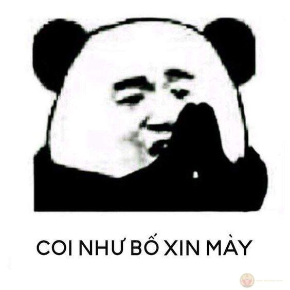 Lần sau mà còn troll là bị xử liền á