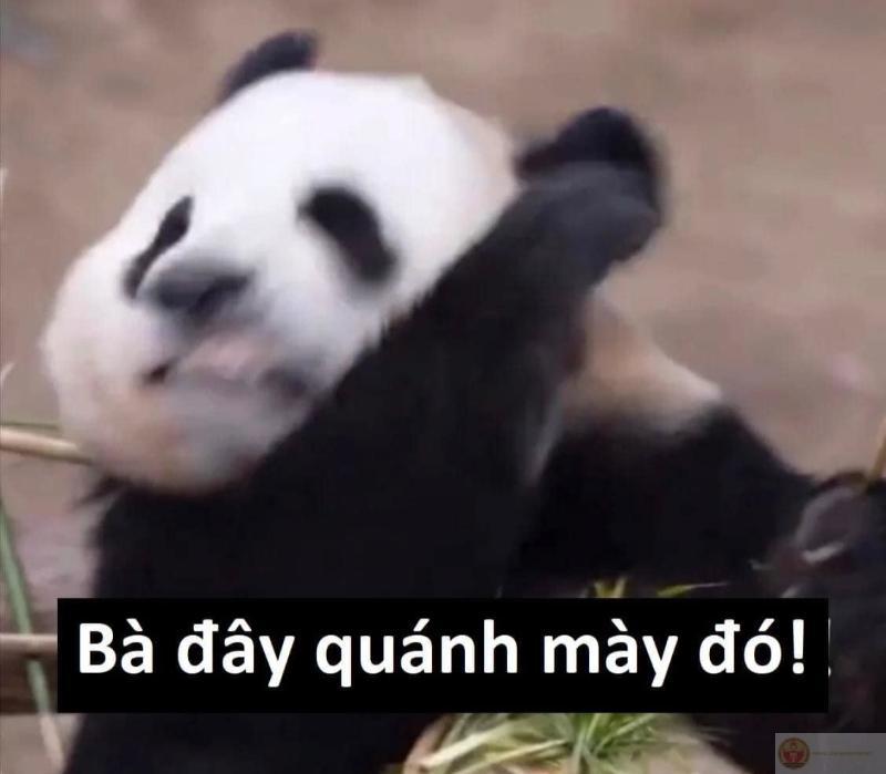 Ai thương thì ở lại, ai mệt thì đi nghỉ
