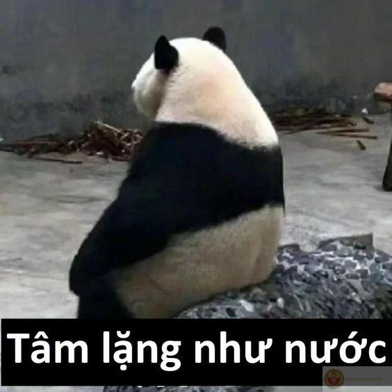 Có ai hiền như tui mà hay lườm vậy không?