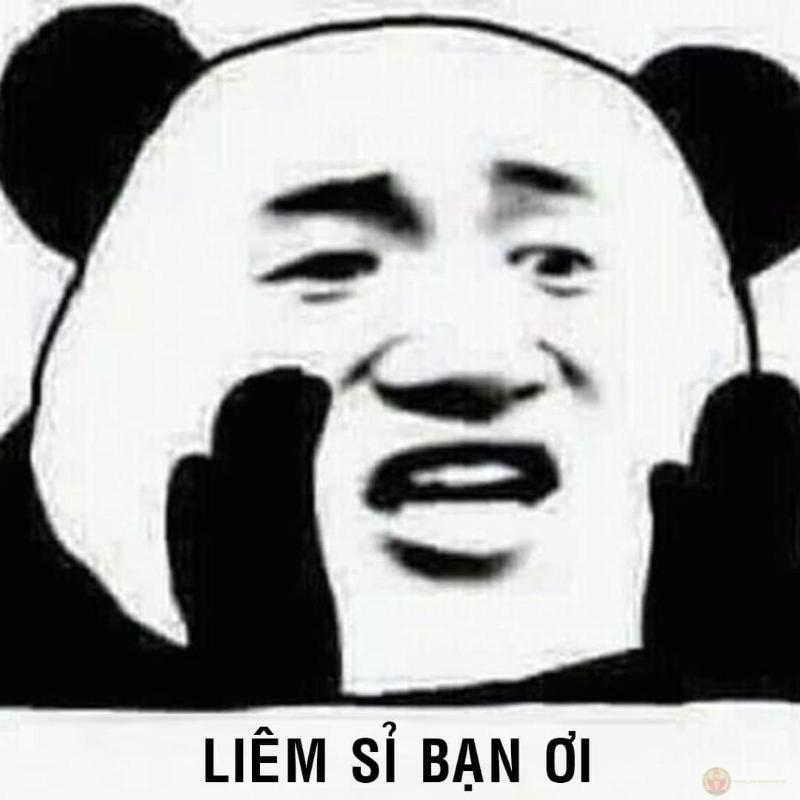 Gấu trúc muốn yên bình, không muốn đối đầu nữa