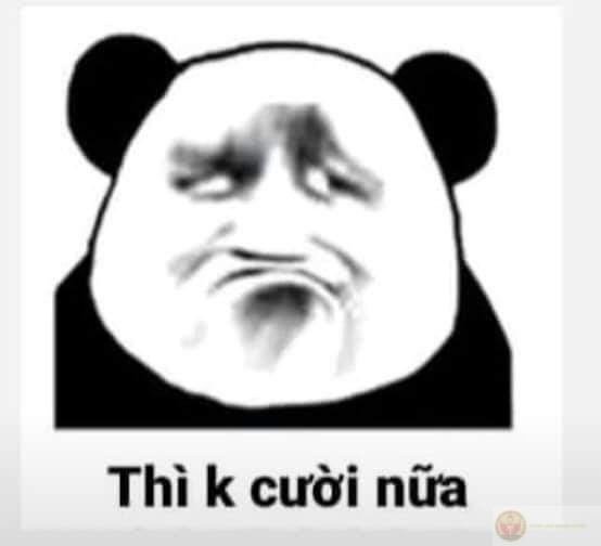 Meme gấu Trung Quốc