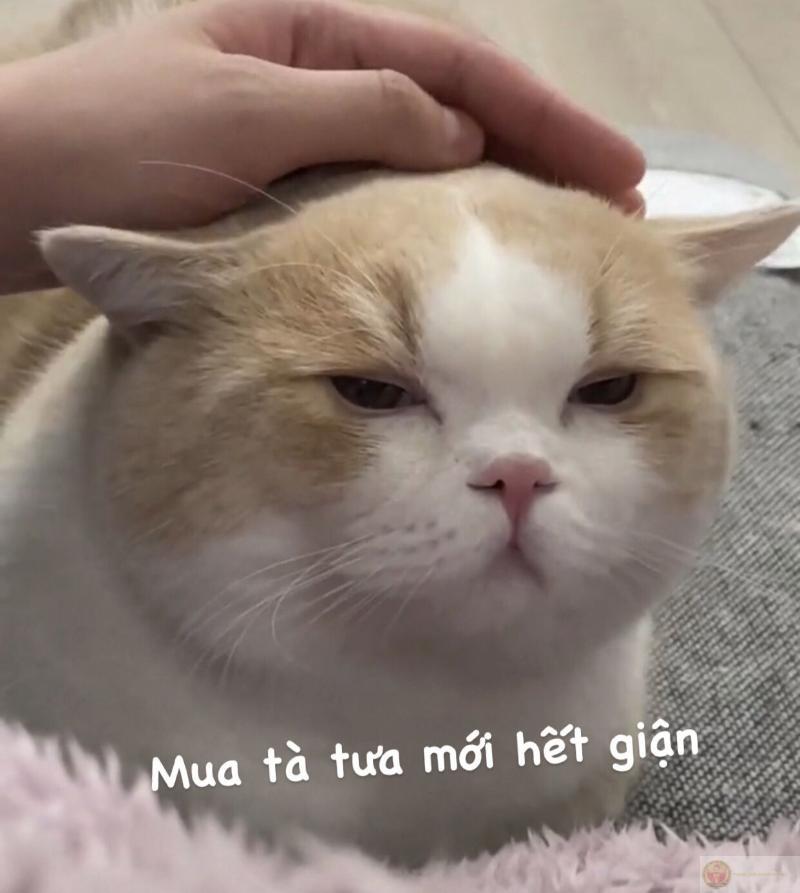 Cười vậy thôi chứ trong lòng đang dỗi