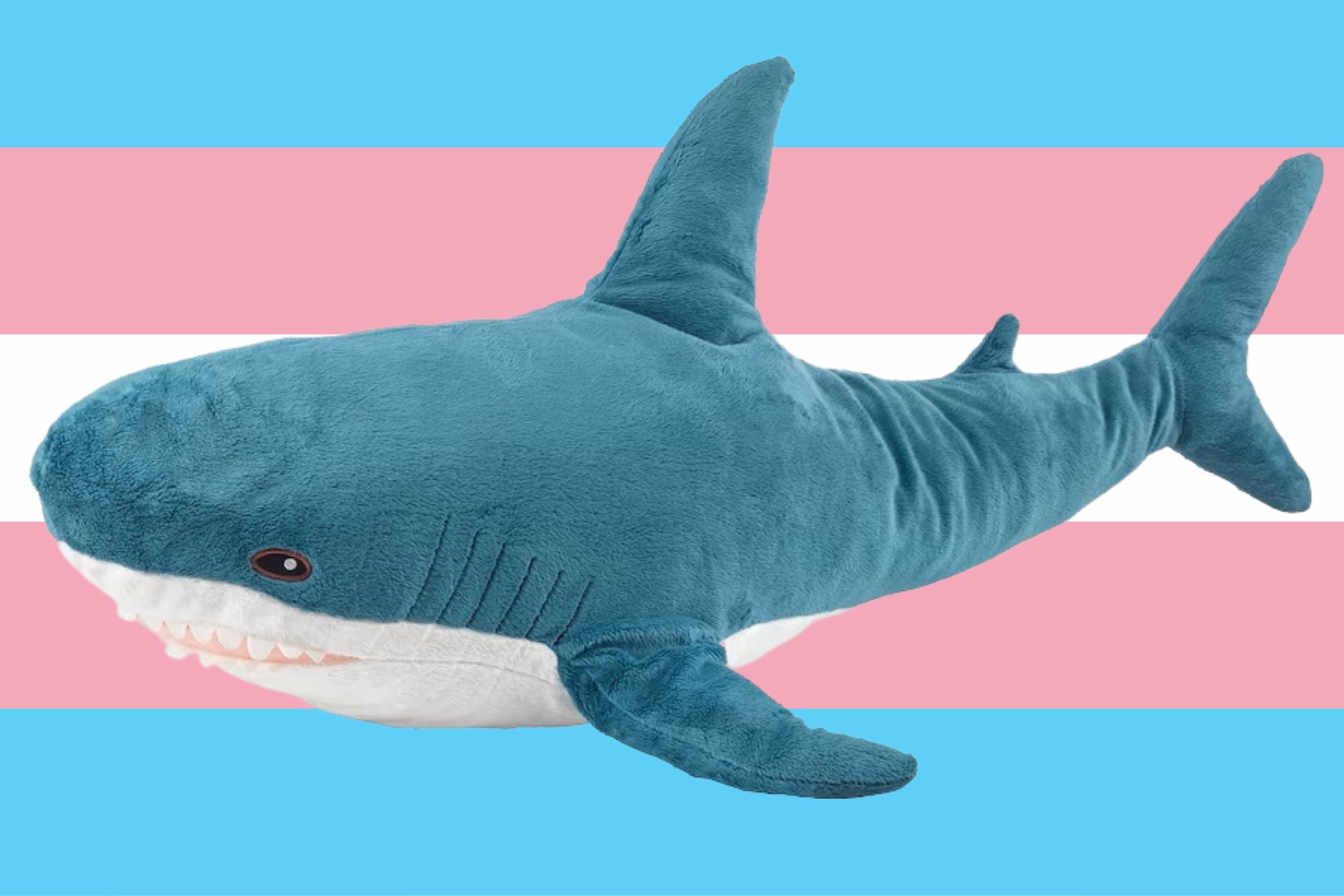 trans blahaj
