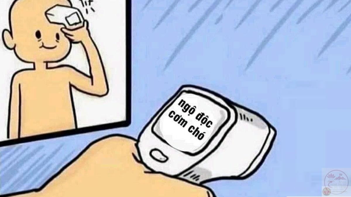 Meme Mèo Ăn Rau, Ăn Cơm, Ăn Chuối, Bim Bim [Siêu Cute]