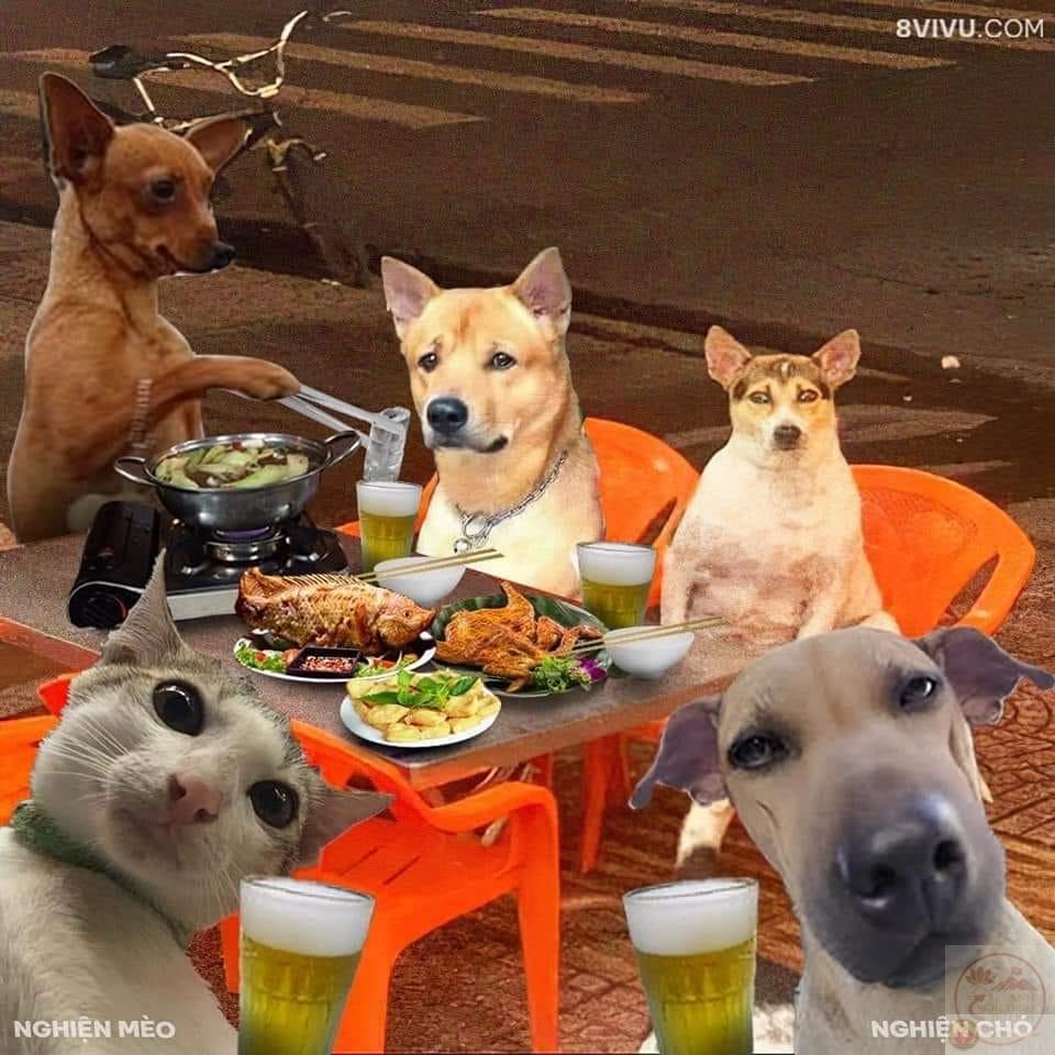 Bộ 40+ Meme Mô Phật và A di đà Phật hài giúp tĩnh tâm, sám