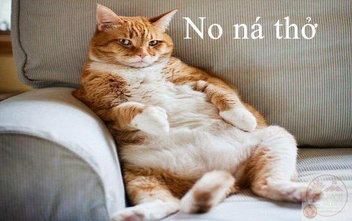 Story » Bộ 20+ Meme Ăn Vạ cực hài, chân thực đến mức ai cũng thấy “giống mình”