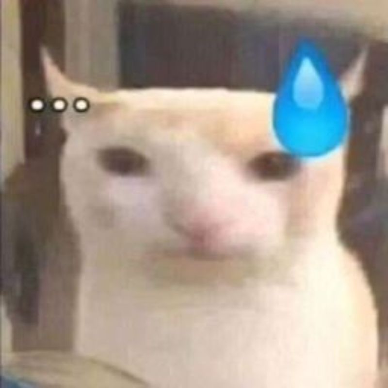 meme mèo toát mồ hôi