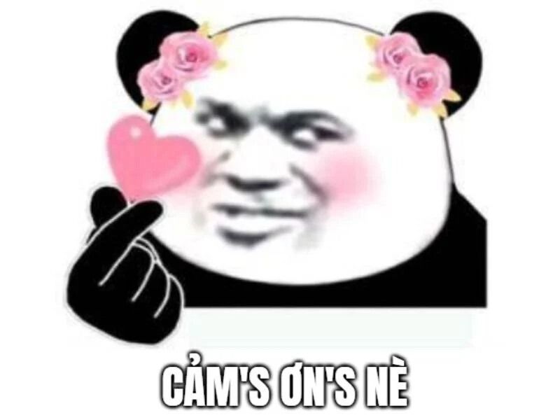 Meme cảm ơn ấm áp, tích cực