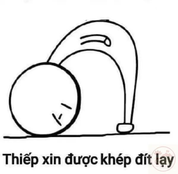 meme cầu xin 9