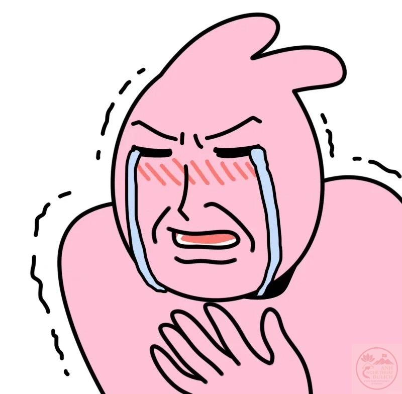 Meme Cầu Xin 🙏 Tổng Hợp Ảnh Chế Cầu Xin Hài Hước