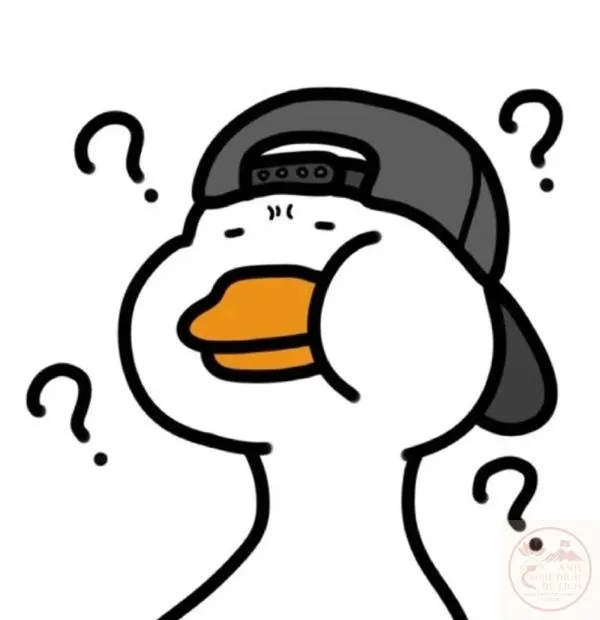 Meme dấu hỏi hài hước Vịt đội nón dấu hỏi hài hước