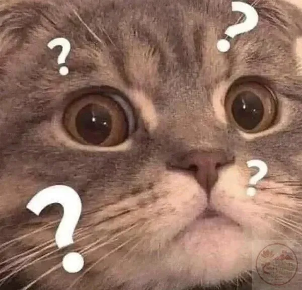 Meme dấu hỏi vui nhộn Bức hình dấu hỏi mèo con vui nhộn làm dân mạng cười xỉu