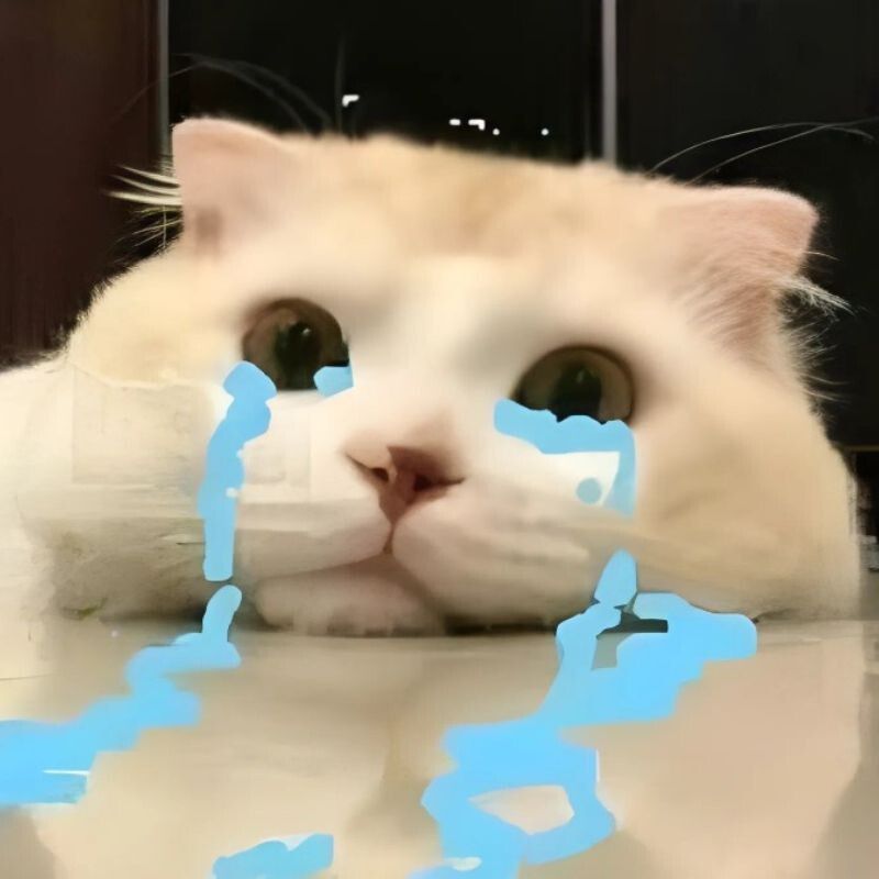 Mèo khóc cười
