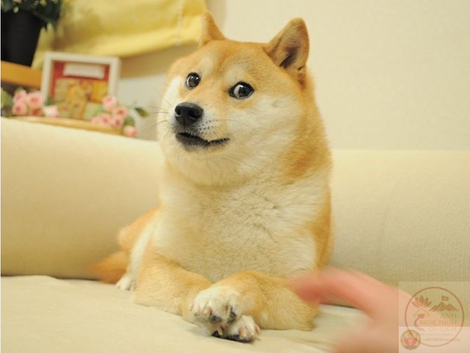Meme Đánh Giá ⭐ Tổng Hợp Ảnh Chế Đánh Giá Hài Hước