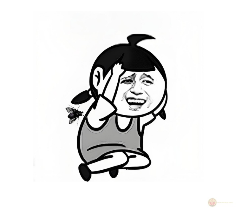 Meme cực hài được yêu thích