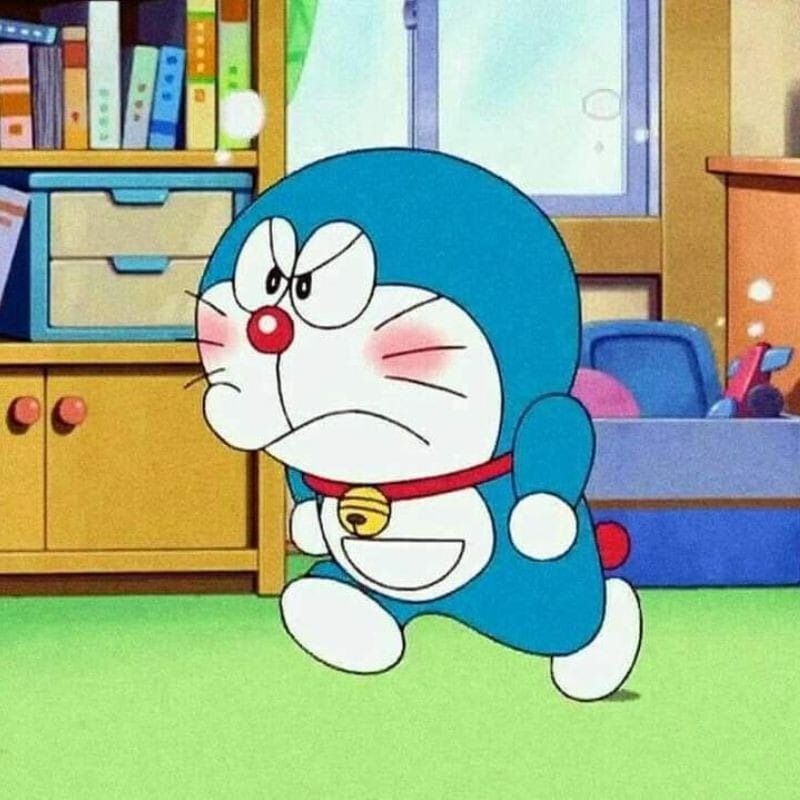 Meme tức giận cute