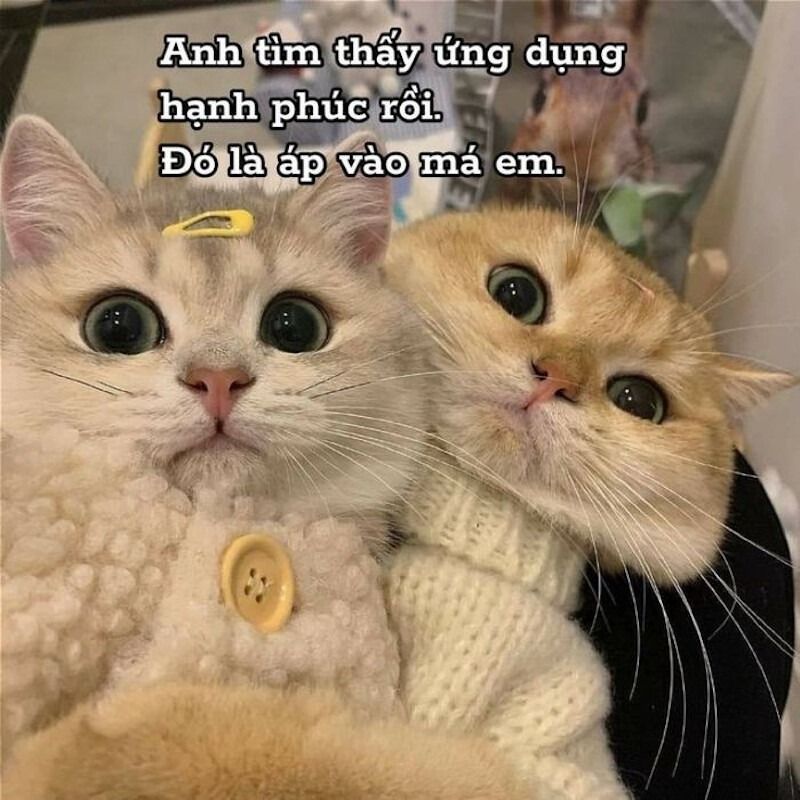 Meme tình yêu tâm trạng
