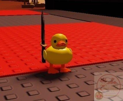 Meme con vịt