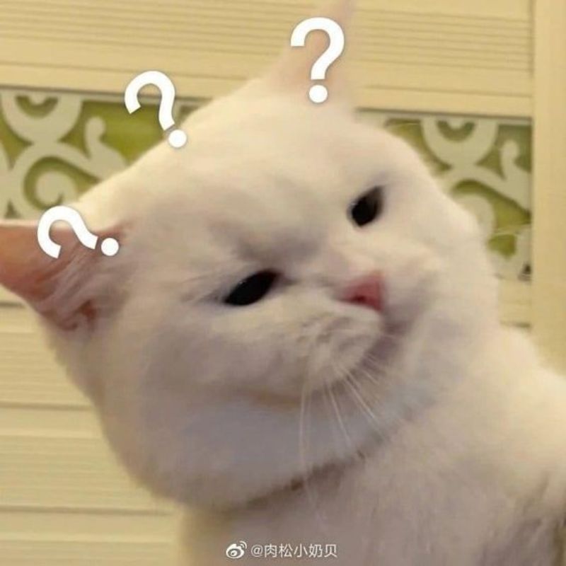 meme mèo khó hiểu