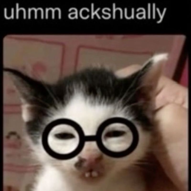 meme mèo trí thức