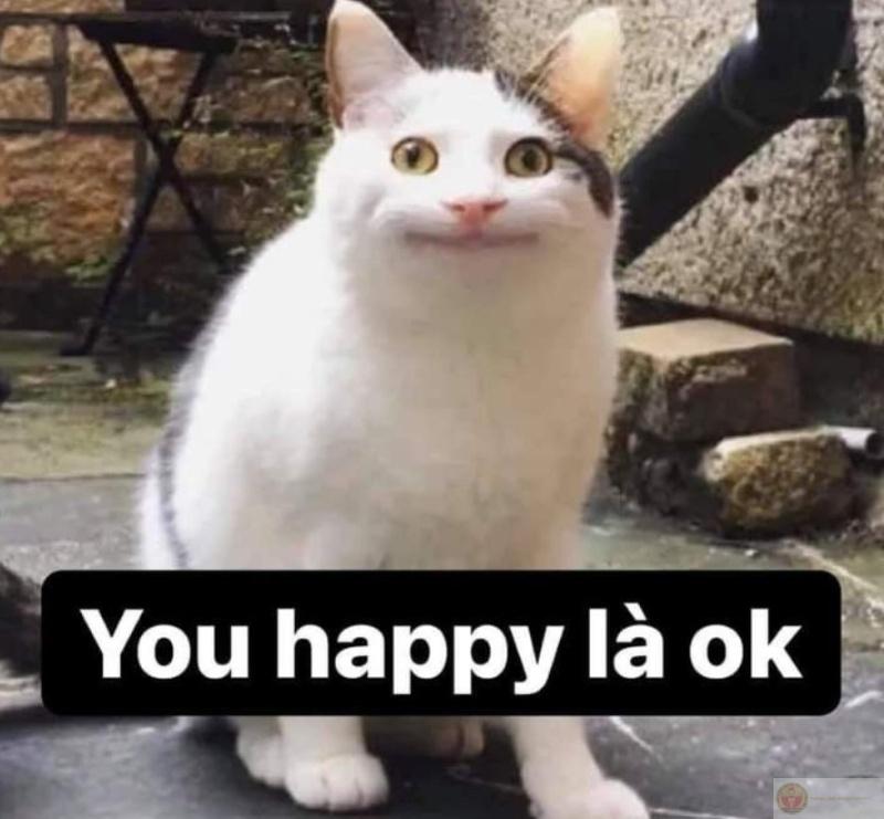 Meme ok baby
