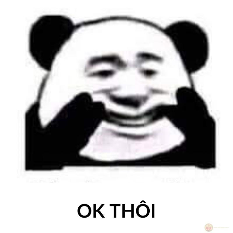 Nghe xong cạn lời, đành thốt