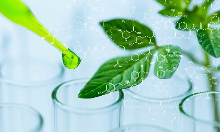 propyl-fomat-4