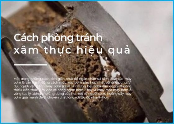 Cách phòng tránh hiện tượng xâm thực