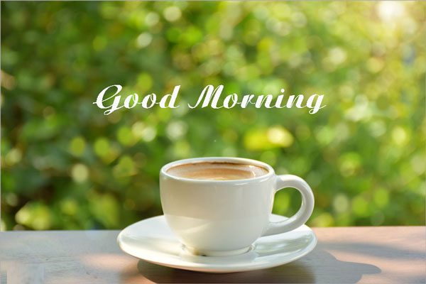Chào một ngày mới tới