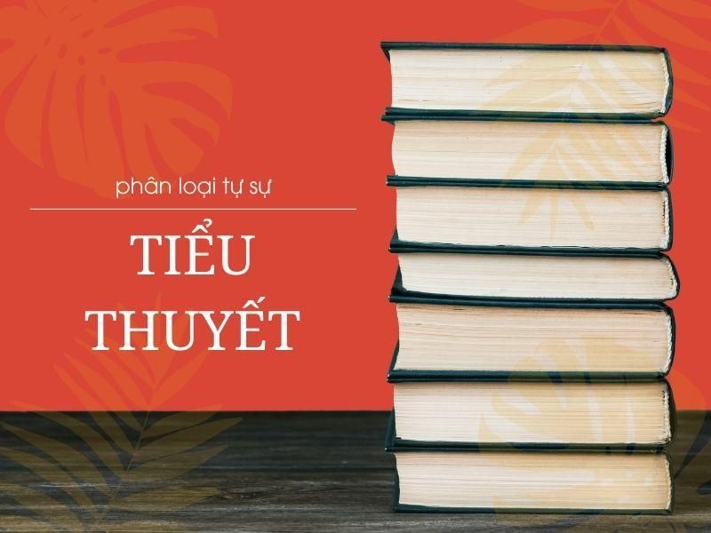 Phân loại tự sự - Tiểu thuyết