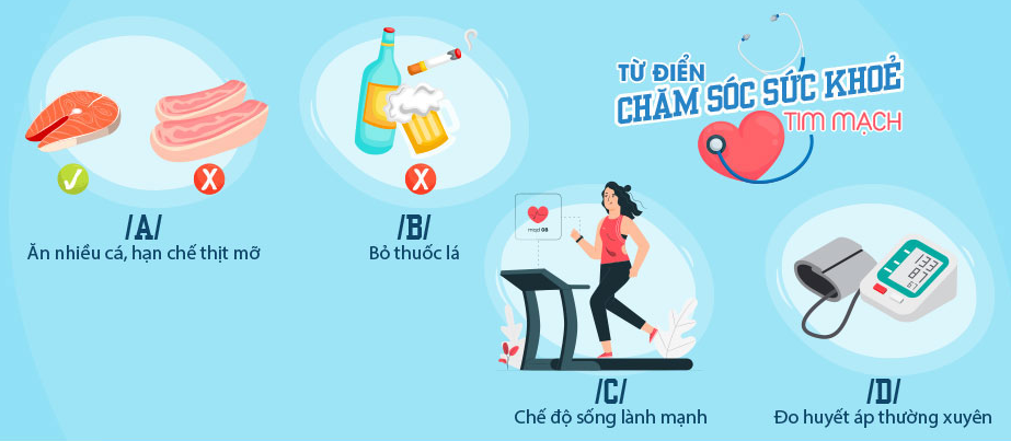 Vì sao tim hoạt động suốt đời mà không mỏi
