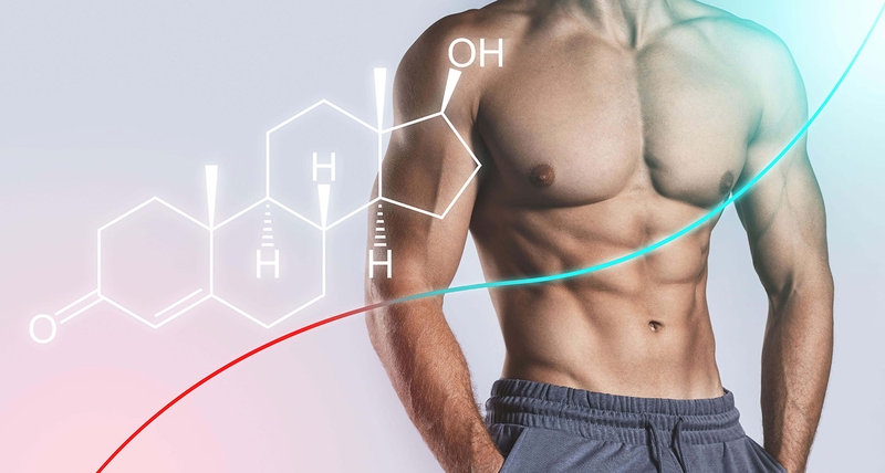 Testosterone được sinh sản ra ở đâu? Vai trò của Testosterone