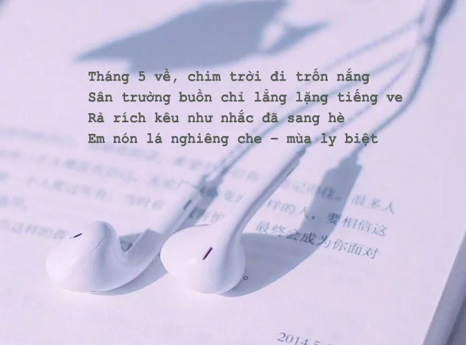 Thơ tháng 5 hay nhất về mùa hạ, tình yêu và tuổi học trò 2