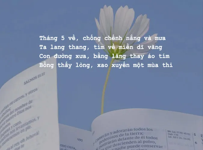 Thơ tháng 5 hay nhất về mùa hạ, tình yêu và tuổi học trò 11