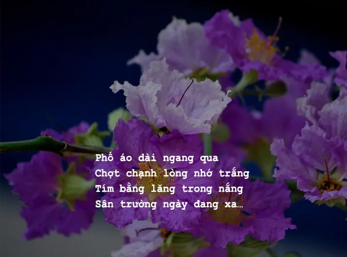 Thơ tháng 5 hay nhất về mùa hạ, tình yêu và tuổi học trò 4