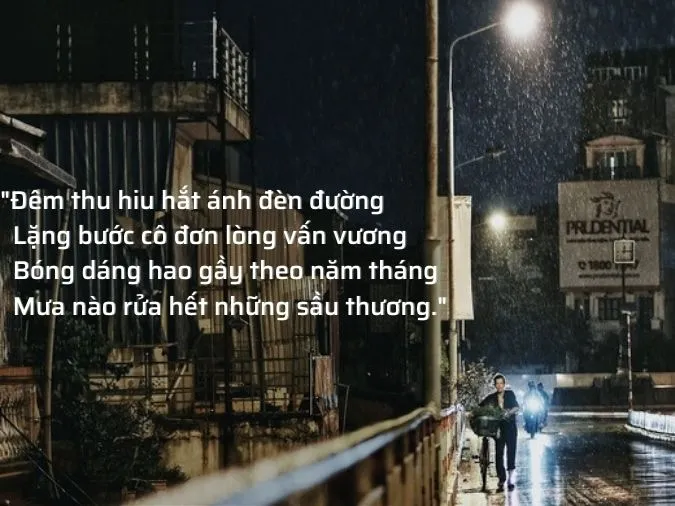 THƠ MẤT NGỦ VỀ ĐÊM - CHÙM THƠ TÂM TRẠNG ĐẦY CẢM XÚC 5