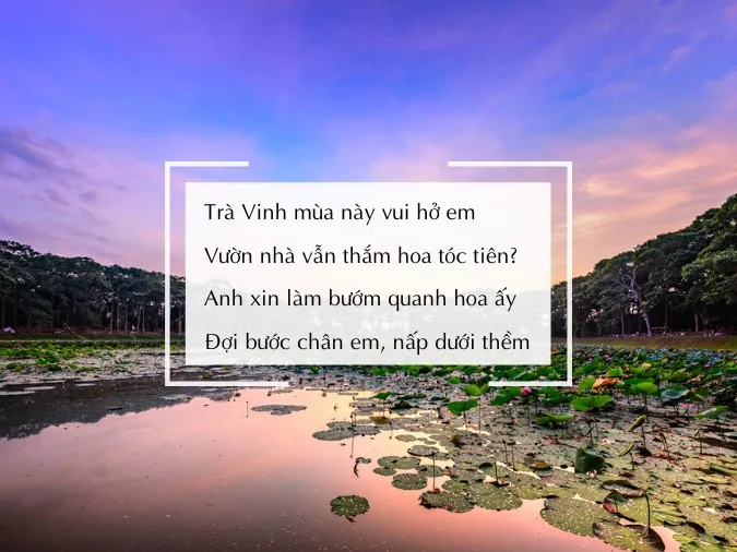 Tuyển tập thơ về Trà Vinh, ca dao, tục ngữ về Trà Vinh hay nhất 6