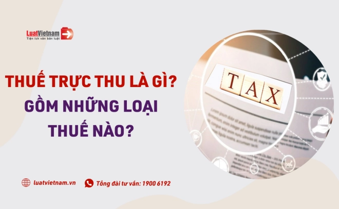 Thuế trực thu là gì? Bao gồm những loại thuế nào?