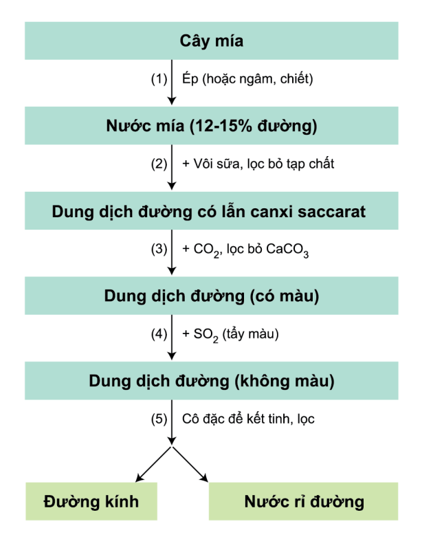 Củng cố kiến thức