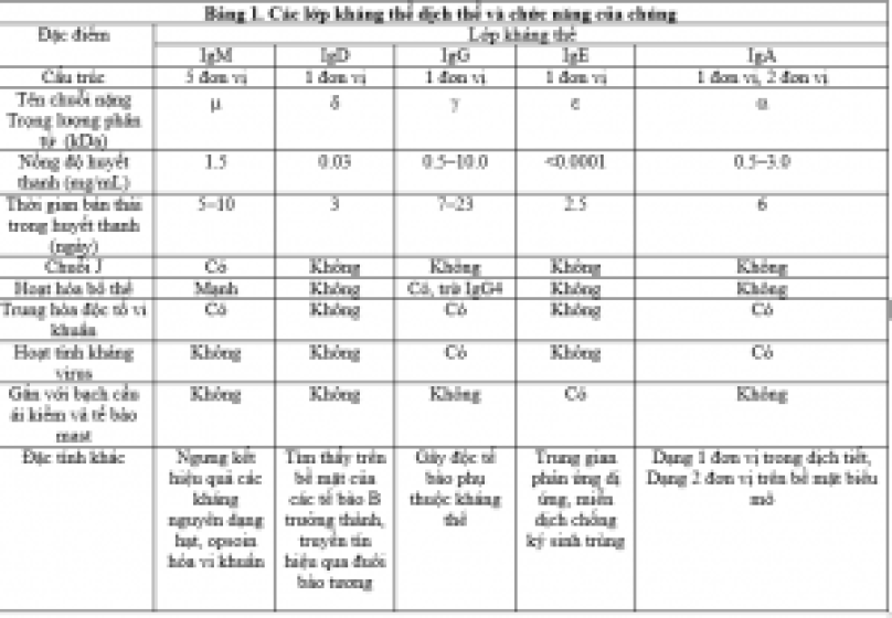 Tính đa dạng của kháng thể dịch thể - Nội dung của một giải Nobel Y học và Sinh lý học