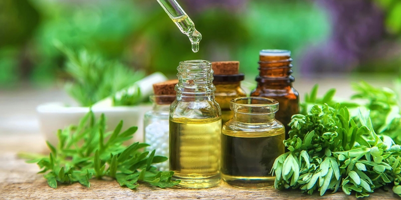 Tinh dầu ngải cứu và công dụng tuyệt vời có thể bạn chưa biết