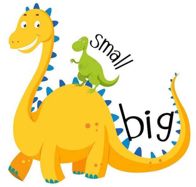 9. tall - short