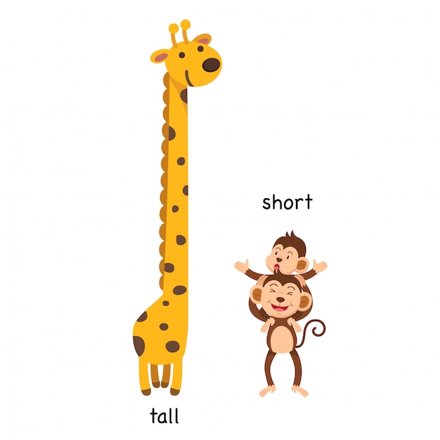 10. thin - thick