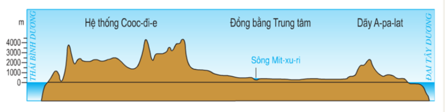 Trình bày đặc điểm cơ bản về sự phân hóa địa hình khu vực Bắc Mỹ