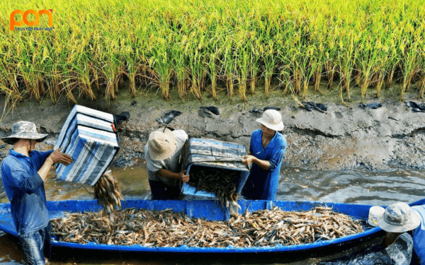 Thích ứng với biến đổi khí hậu là gì?