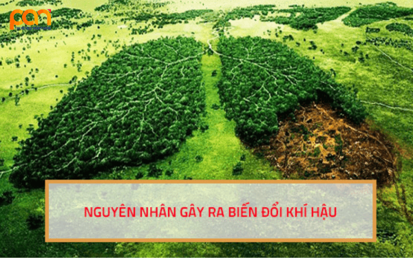 Nguyên nhân của biến đổi khí hậu