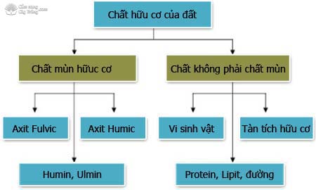 Kỳ 3: Vai trò hữu cơ Bio Gold G.A.P với canh tác nông nghiệp (Tiếp theo)
